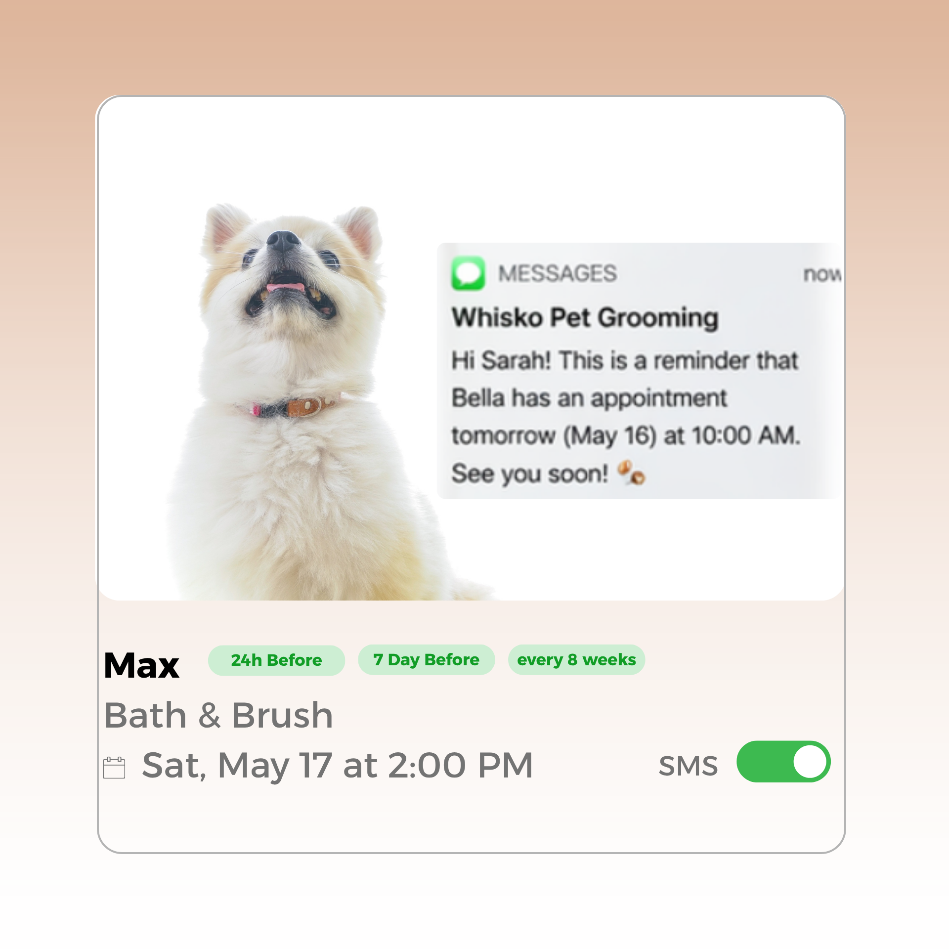 Whisko auto reminder feature showing a beagle dog with SMS notification preview and appointment details for Max with Bath & Brush service