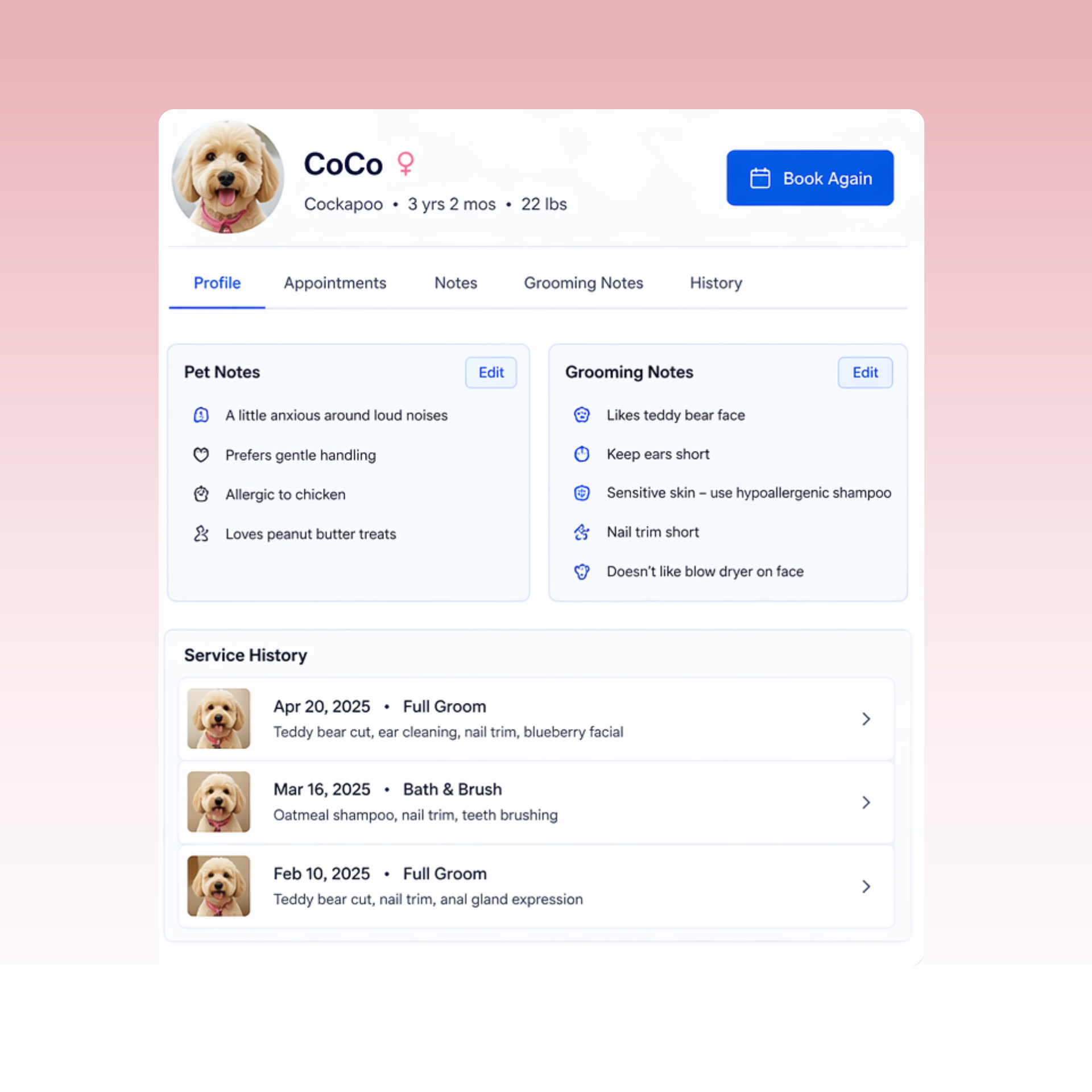 Whisko pet profile showing CoCo the Cockapoo with pet notes, grooming preferences, and service history